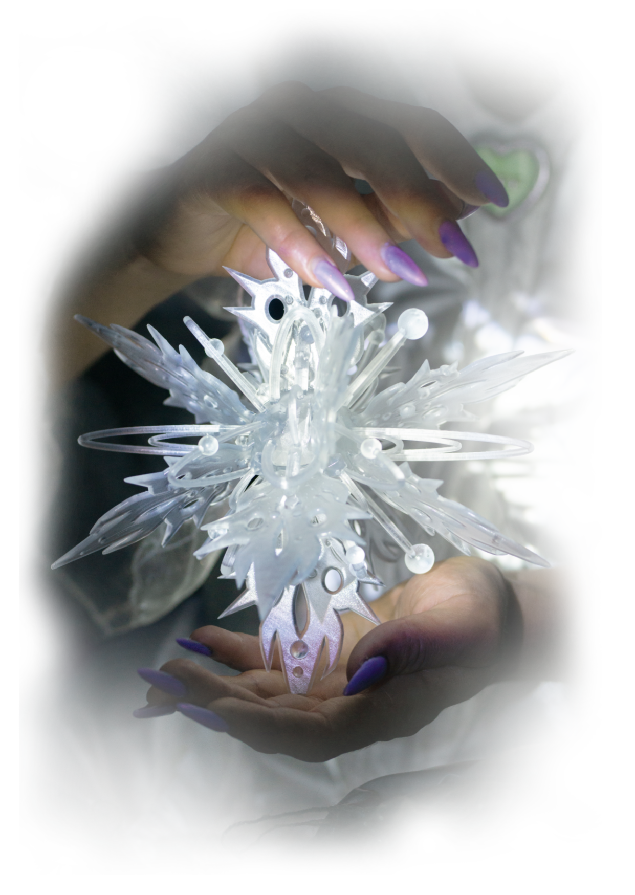 interbody sculp